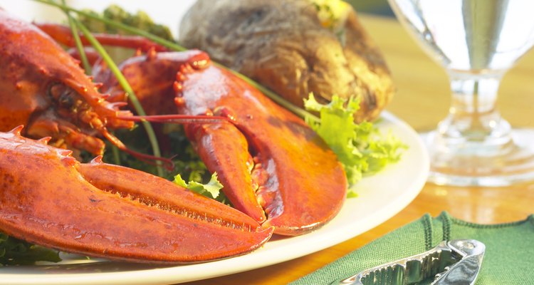 lobster