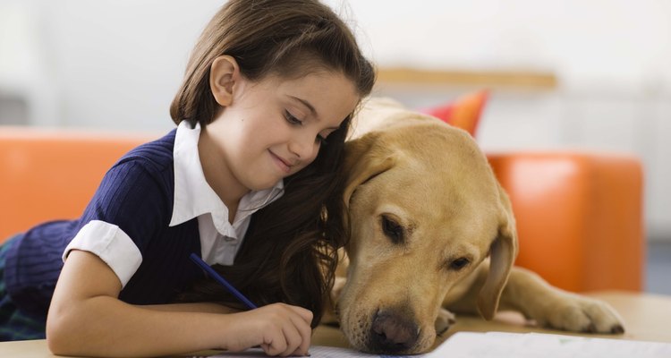 Enseñar a los niños sobre los animales domésticos les aydua a relacionarse con las mascotas tales como los perros.