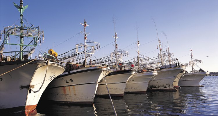 Charter fishermen use sonar devices to improve the catch of the day.