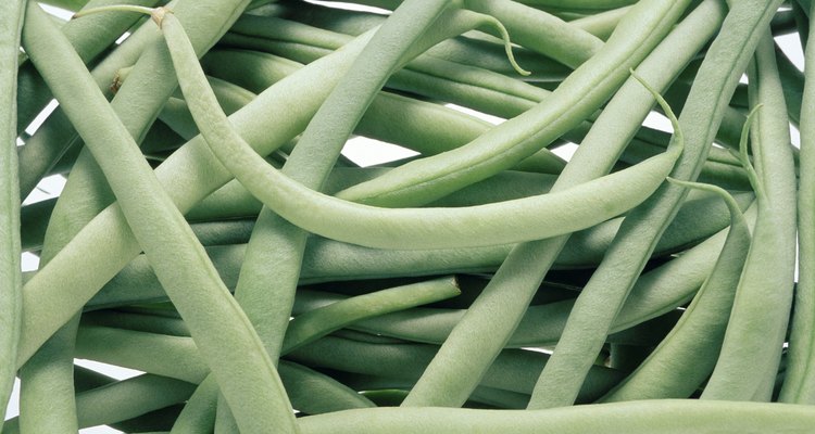 Como la mayoría de las verduras, es bastante fácil darse cuenta cuando las habichuelas están en mal estado.