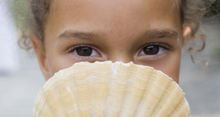 Depois de limpar a concha apropriadamente ela não deve ter mais nenhum odor