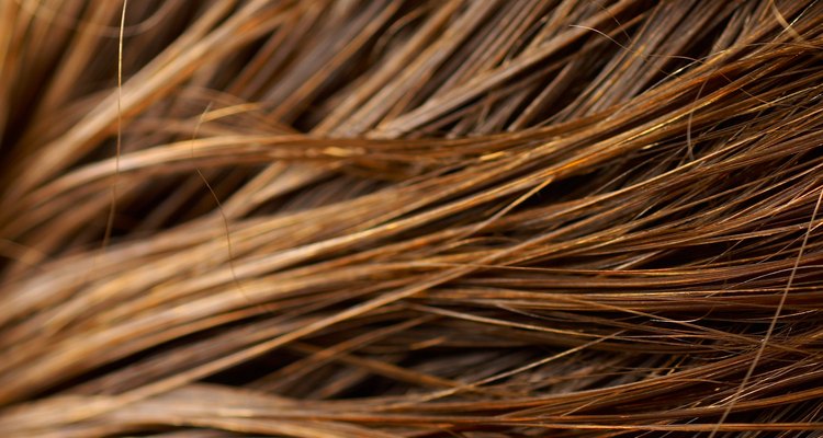 Close-up of brunette hair