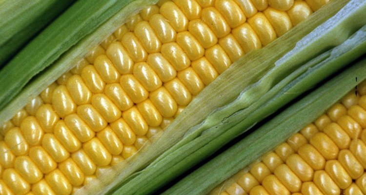 La harina de maíz es un polvo blanco hecho con el endospermo, la parte almidonada del grano de maíz.