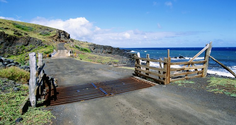 Cattle grids can be seen across the western United States.