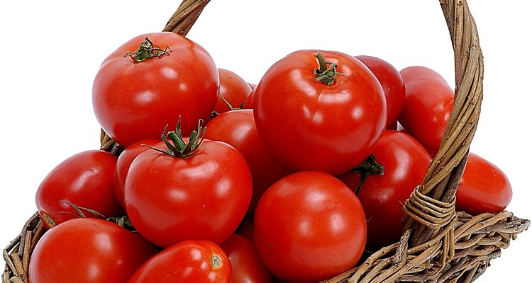 Una cosecha de tomates exitosa.