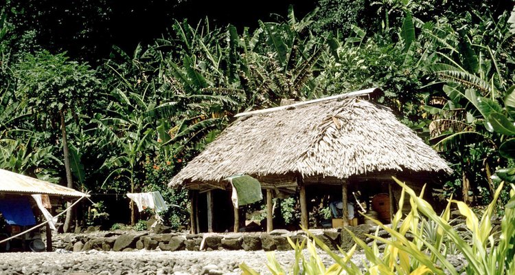 Esta cabaña de selva tropical se encuentra fuera del suelo mojado en troncos y no tiene paredes.