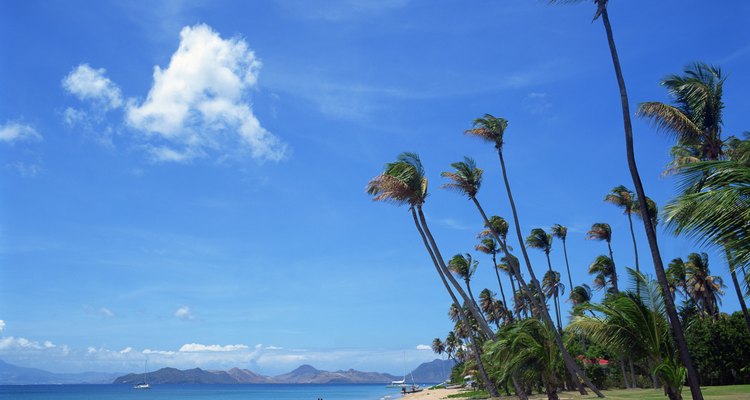 St. Kitts y Nevis son parte de las Antillas Holandesas.