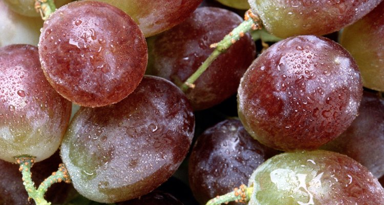 A uva vermelha é fonte de um poderoso antioxidante denominado resveratrol