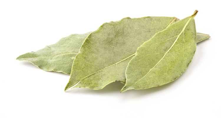 Bay leaves