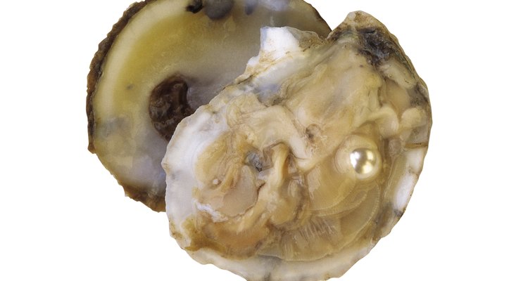 Las perlas se crean con el tiempo en los músculos de una ostra.