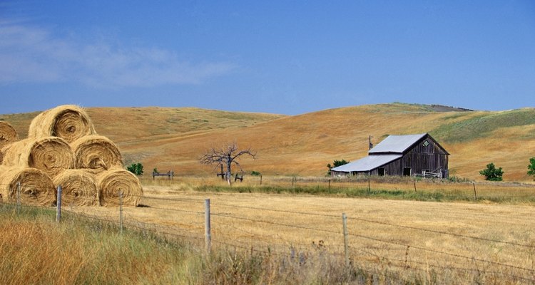 El Medio Oeste se ha convertido en el centro de la agricultura estadounidense.