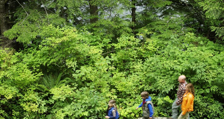 Caminhadas em áreas naturais irão desenhar um sorriso no rosto dos caminhantes