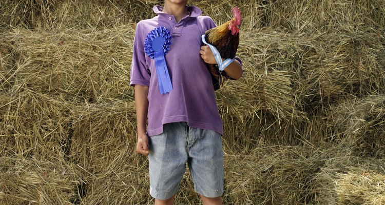 Mantén tus pollos y patos saludables con un gallinero limpio.