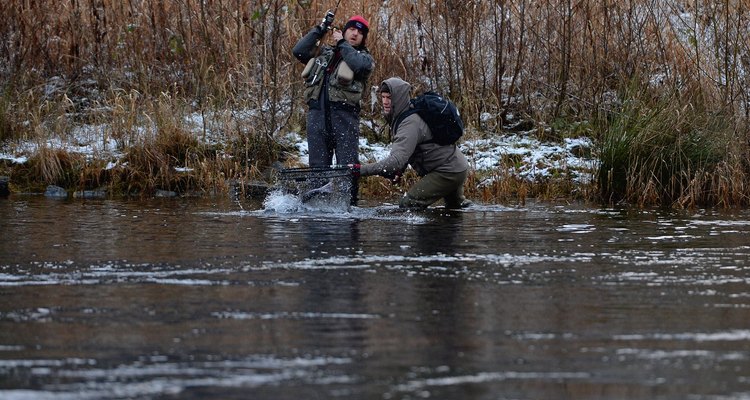 Homemade jelly pellets make excellent fishing bait.