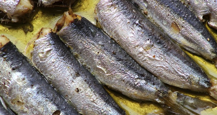 Baked sardines