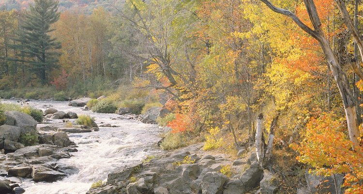 A partir de Seaton Creek puedes emprender excursiones para deleitarte con los hermosos paisajes.