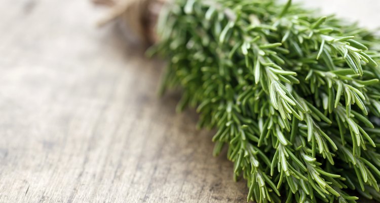 Rosemary on rustic wooden table background