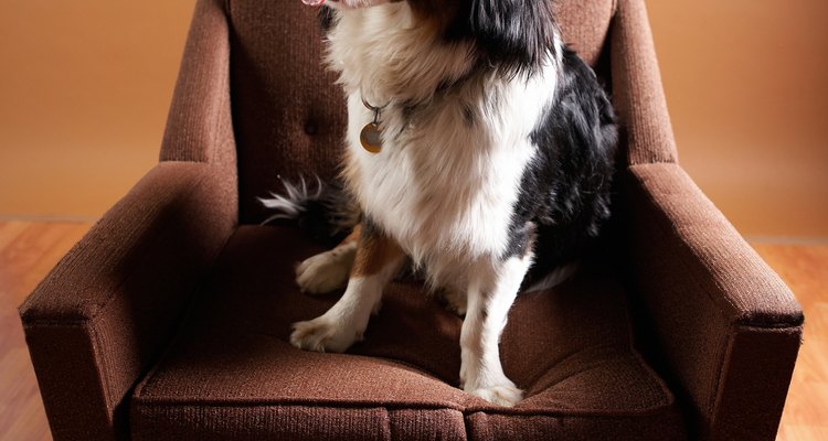 Keep the toughest stains from taking root in your Scotchgard-treated upholstery with immediate cleaning.
