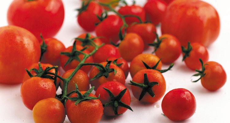Procesos para madurar los tomates.