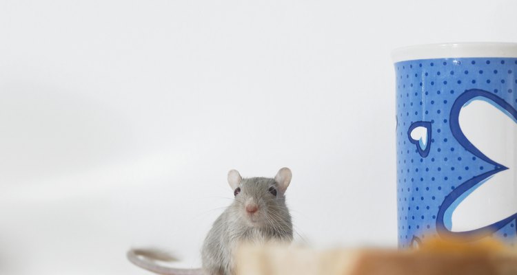 Evita que los ratones mastiquen el cableado eléctrico.