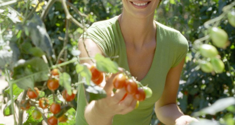 La agricultura orgánica es una manera saludable de introducir a los niños a los alimentos nutritivos.