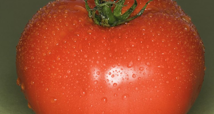 Los tomates pueden afectar el crecimiento de otras plantas.