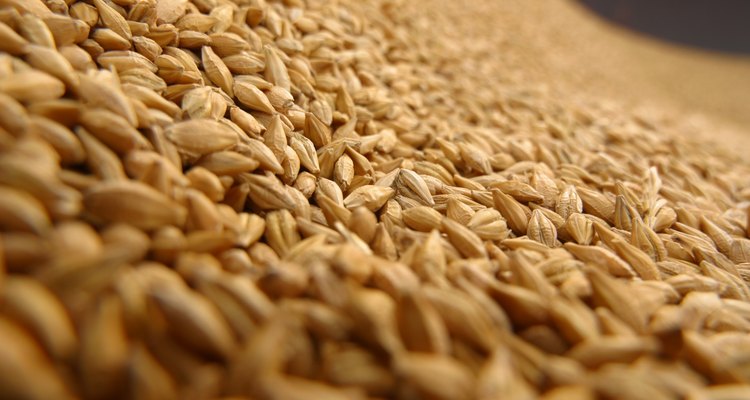 Os grãos de arroz, quando imersos em água, fazem um delicioso e saudável vinagre