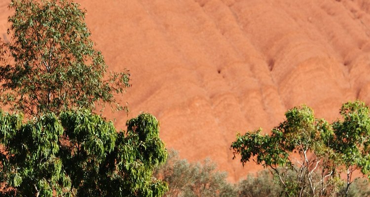 Rodeando la base de Uluru revela la compleja composición de la roca.