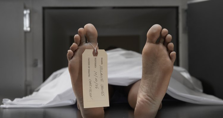 Saiba distinguir rigor mortis de rigidez cadavérica em análise forense