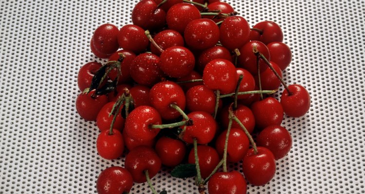 Morello Cherries