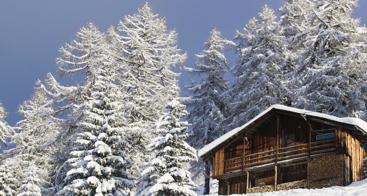 Vinhos para o frio
