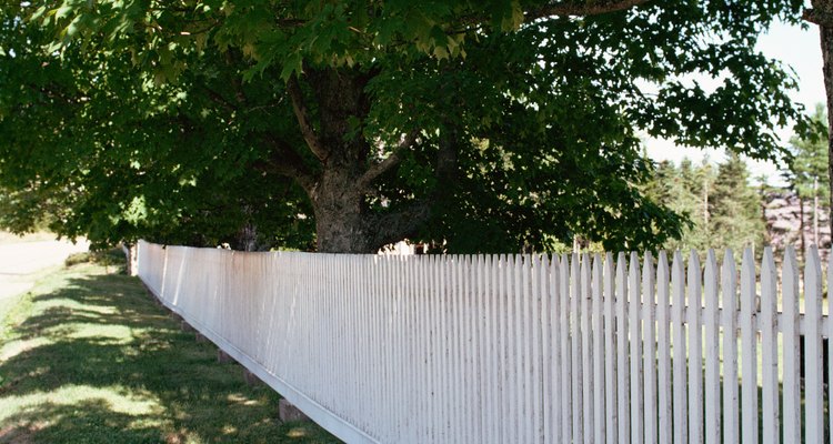 Las cercas perimetrales delimitan las distintas zonas.