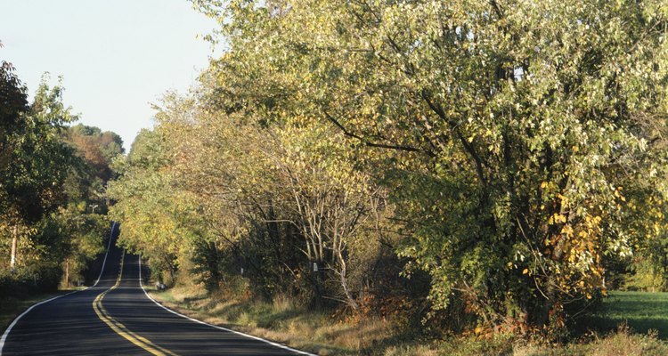 Pensilvania esta rodeada por cientos de kilómetros de senderos.