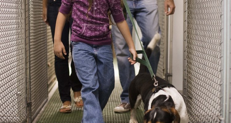 El cuidado gentil de una mascota enseña lecciones para toda la vida.