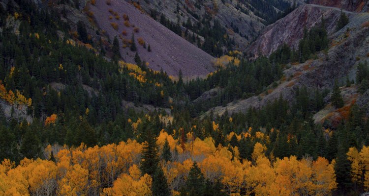 El pintoresco escenario de Ridgway ha aparecido en películas como
