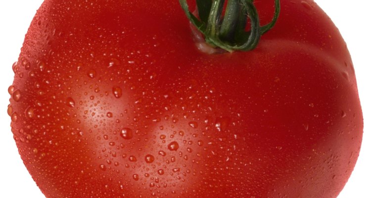 Quita las hojas y los tallos de tu planta de tomates para incrementar su tamaño y promover la maduración.
