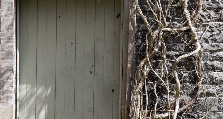 Sheds can be made from plastic or metal to save on maintenance.