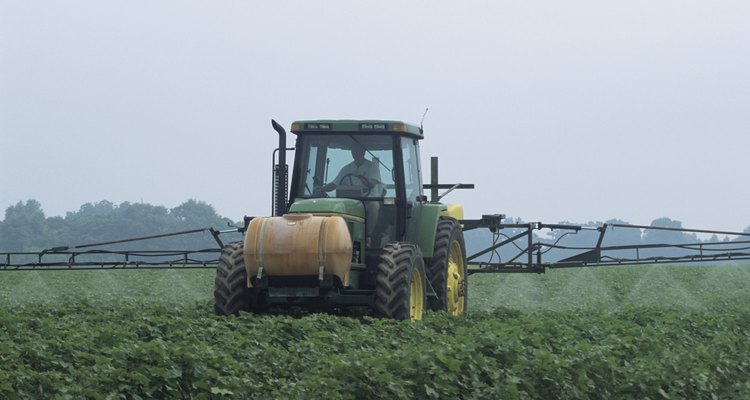 Herbicidas ajudam a controlar o crescimento da barba-de-bode