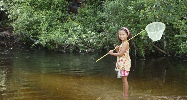 Moosehead Lake es el lugar ideal para que los niños exploren la naturaleza.