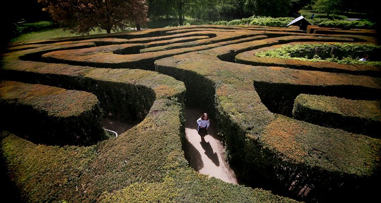 El laberinto de Hampton Court se plantó por primera vez en el siglo 17.