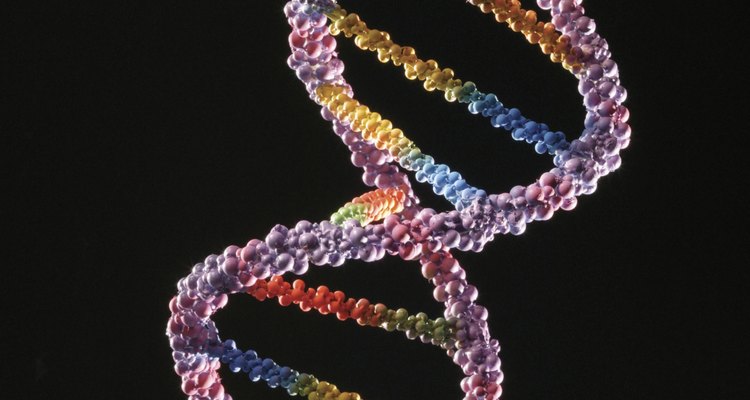 O ácido nucleico DNA é um metabólito primário