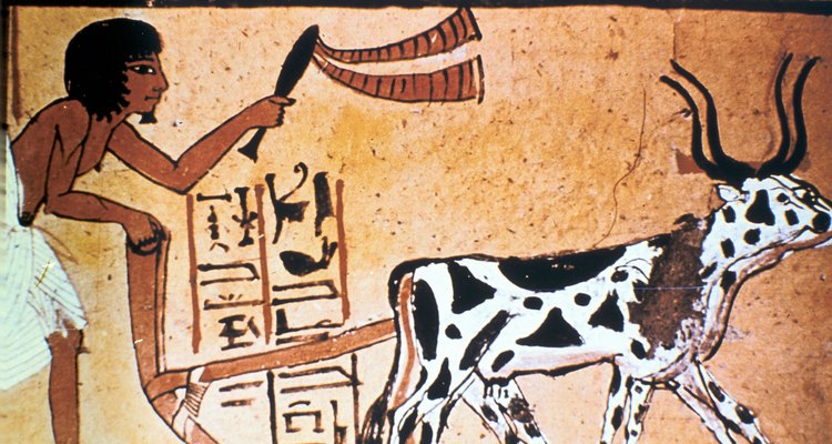 Los antiguos egipcios utilizaban herramientas y animales en sus prácticas agrícolas.