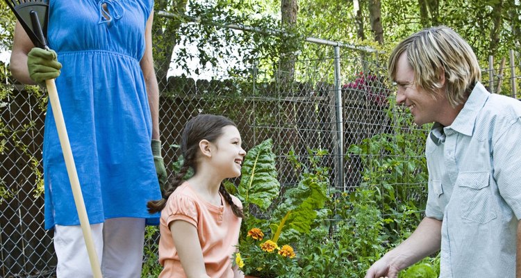Flowering perennials are an essential element of most flower gardens.