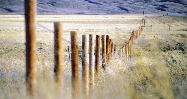 Fence posts serve as the skeletal structure that holds your fence in place.