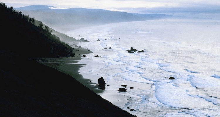 Las olas rompen en el Redwood National Park de California.