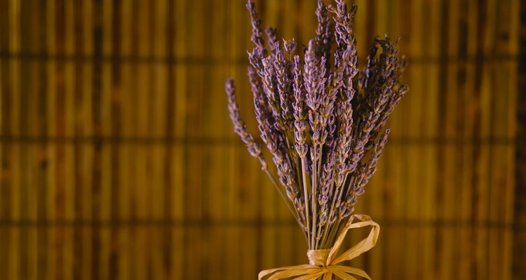 Con lavanda puedes crear bolsitas con olor dulce.