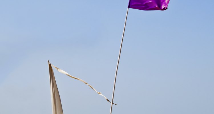 Las banderas de advertencia púrpura y amarilla en la playa.