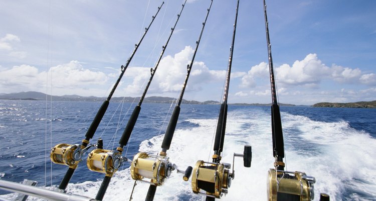 Se requiere una licencia de pesca vigente del estado de California para pescar en cualquiera de sus zonas.