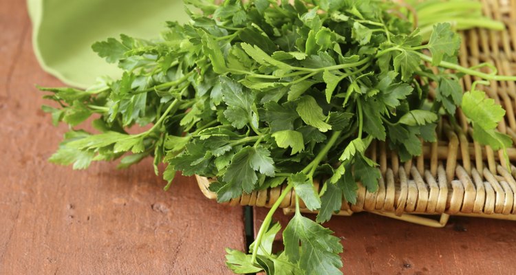 Fresh green, organic parsley on wooden table