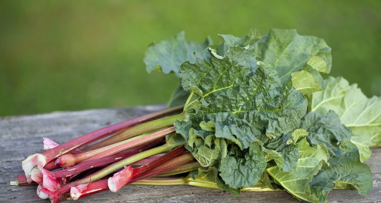 bunch of rhubarb on wooden table